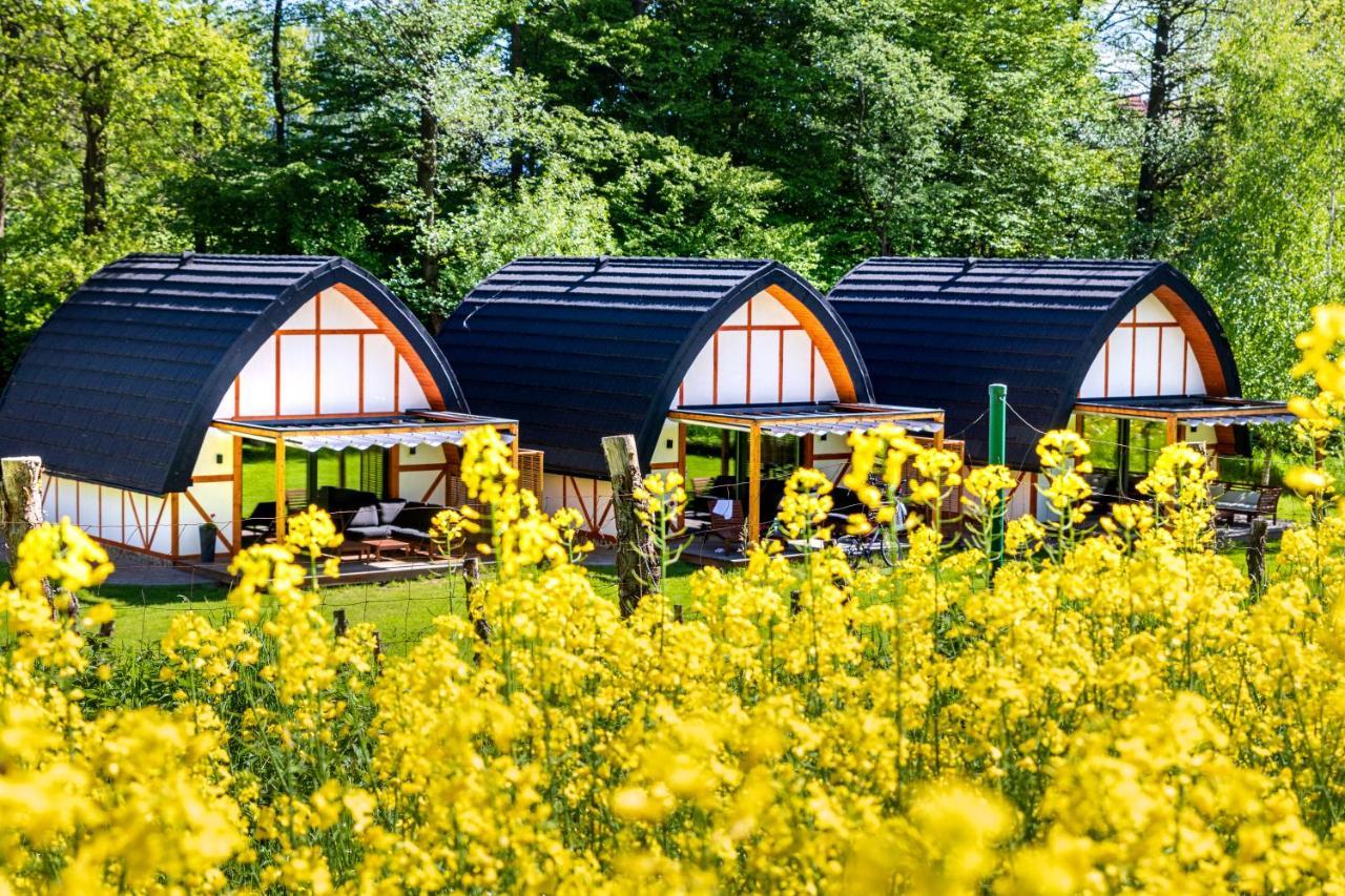 Sen I Wino, Domki Na Winnicy Ze Strefa Spa Żywiec Kültér fotó